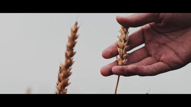 Vyatskiy kvas (Commercial) смотреть онлайн