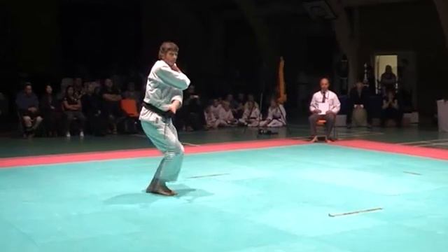 Shotokan Cup 2014 - Kata - Christian смотреть онлайн