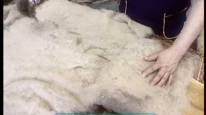 Галилео. Валенки  Felt boots