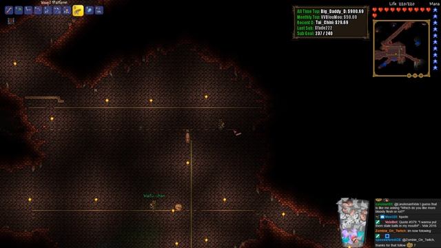 Terraria with the Waifu - Part 16 - BRAIN OF CTHULHU - [Expert/CO-OP] смотреть онлайн