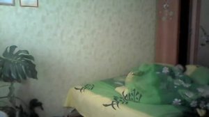 Как спят дети :D