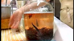 Галилео. Пиявки  Leeches