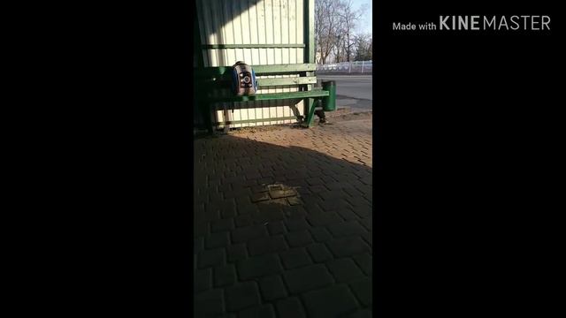 Дикий агро школьник часть(1) смотреть онлайн