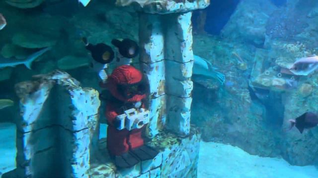 Day off at Dubai Parks and Resorts | Legoland Dubai | Motiongate | Bollywood Parks Dubai смотреть онлайн