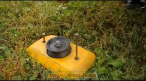 Галилео. Собачьи бега