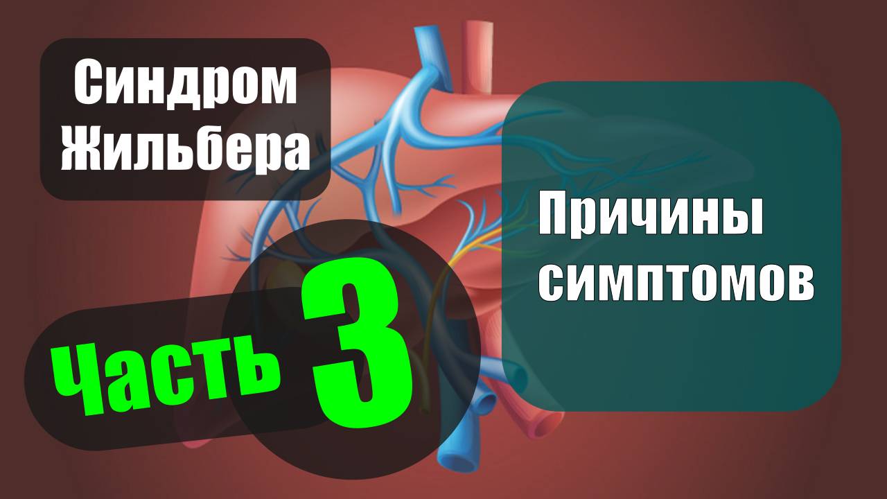 Синдром Жильбера. Часть 3 — Причины симптомов смотреть онлайн