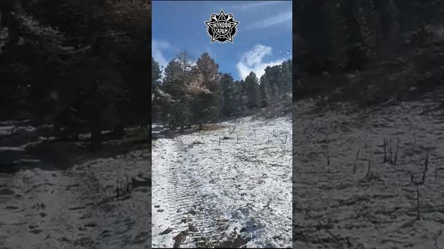 вездеходы БРо. Алтай смотреть онлайн