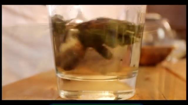 Галилео. Хворост