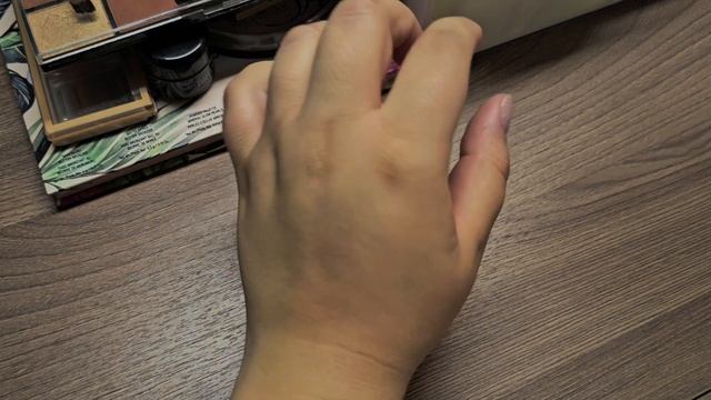 Project Pan. Отчёт N1