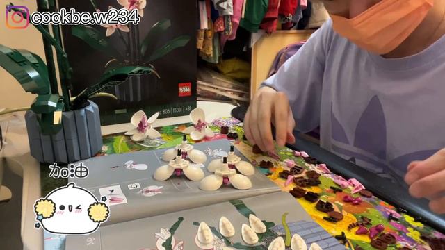 LEGO樂高~新手挑戰蘭花樂高！LEGO 10311 смотреть онлайн