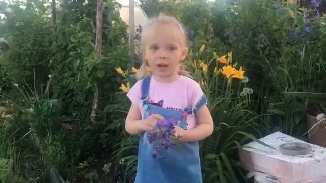 Стихи от Софии смотреть онлайн