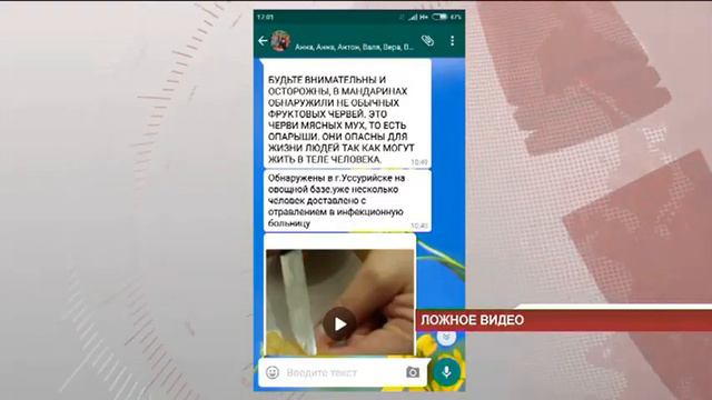 Червивые мандарины в Уссурийске. Соцсети обманывают людей смотреть онлайн