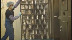 Галилео. Копчёная рыба