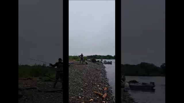 Ловля горбуши на воблеры 55 мм (6,2 гр) от Mr. Musurok