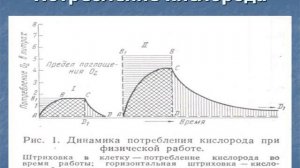 Лекция. Физиология труда.