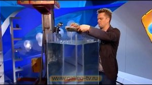 Галилео. Эксперимент. Яйцо и газета на воде