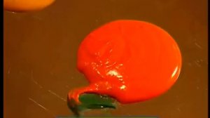 Галилео. Шоколадный портрет  Chocolate portrait