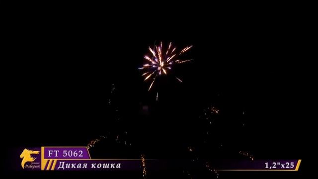 FT 5062 Дикая кошка смотреть онлайн