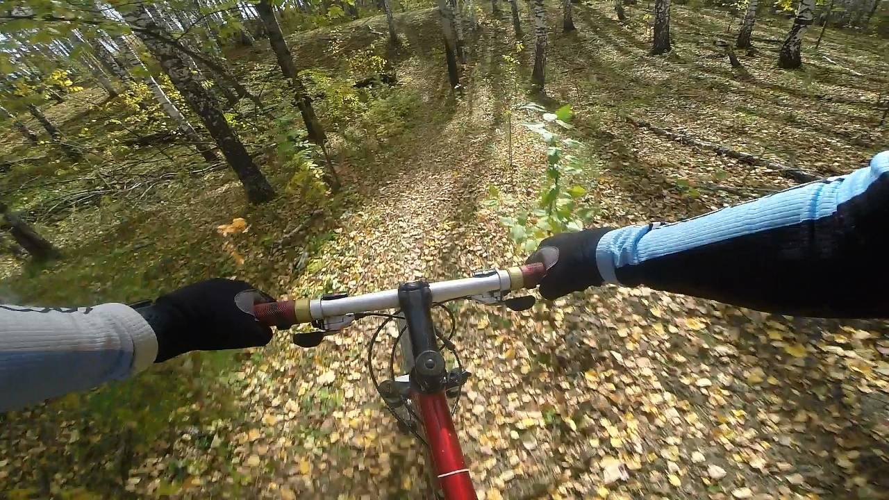 Осенний ХС 24