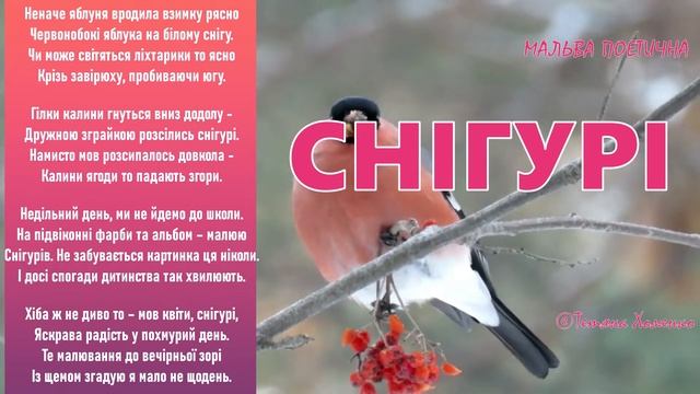 Снігурі©Тетяна Хоменко