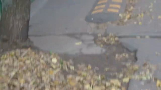 4.10.19 Утро 7.30 Детский сад 598 смотреть онлайн