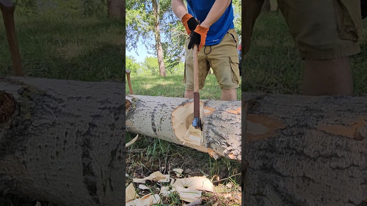 Томагавк от Аники (65см/1.1кг) на тополе. смотреть онлайн