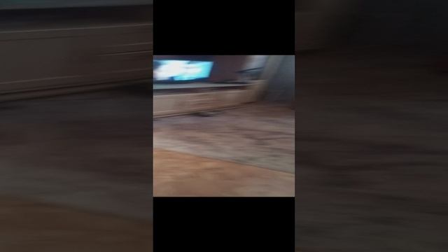 Charli Night`s At Charlis