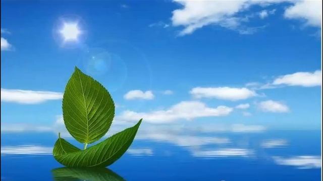 Проект Конгресс Здоровья смотреть онлайн