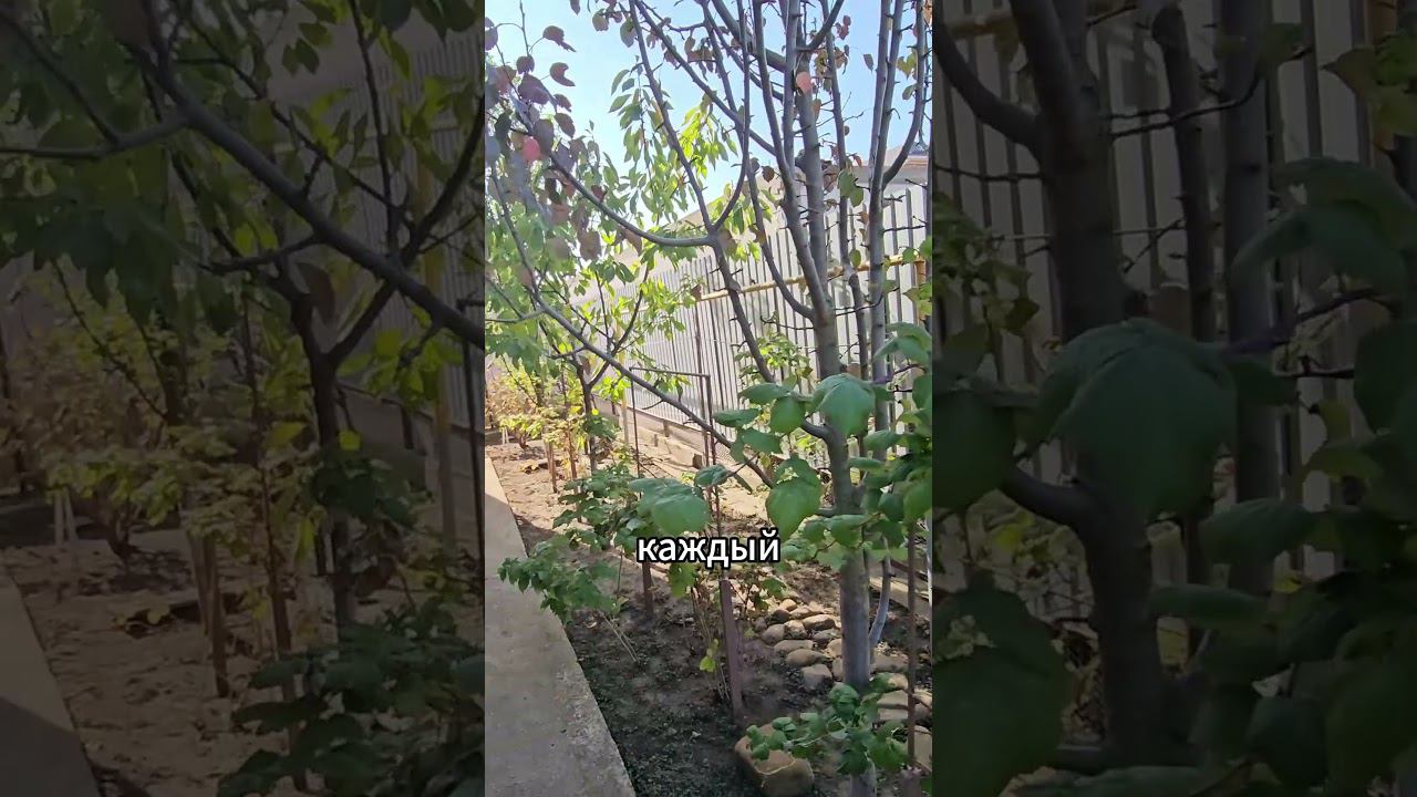 Объект 1947 Станислав Макаров 89384336699 Shorts #купитьдом #сертификат #домвипотеку #недвижимость смотреть онлайн