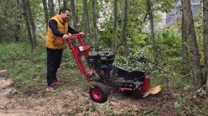 Измельчитель пней Topmatic SC-450. Удаление пней методом фрезерования.