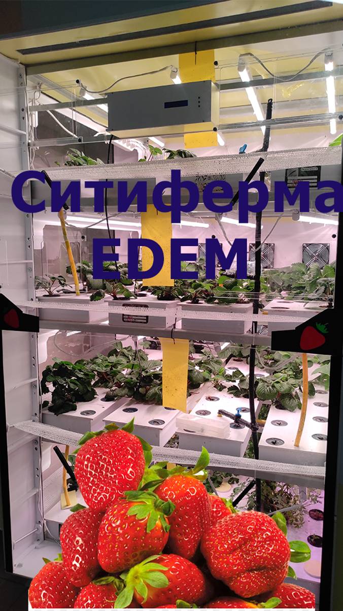 Тех обзор СИТИФЕРМЫ "EDEM 001 v. Технология, которая меняет правила игры! смотреть онлайн