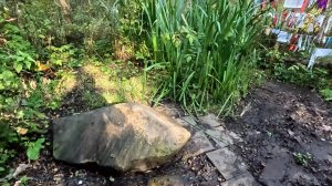 С коллегой заехали в лес посмотреть на загадочный и таинственный Киндяковский он же Шутов камень.