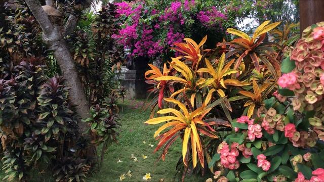 3. Музыка острова Бали - Духи горы (Spirits of the Mountain) смотреть онлайн