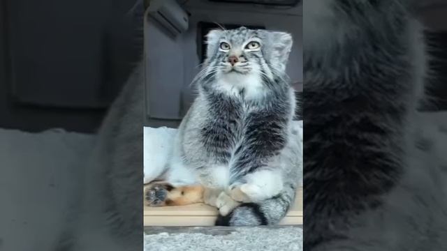 утро смотреть онлайн