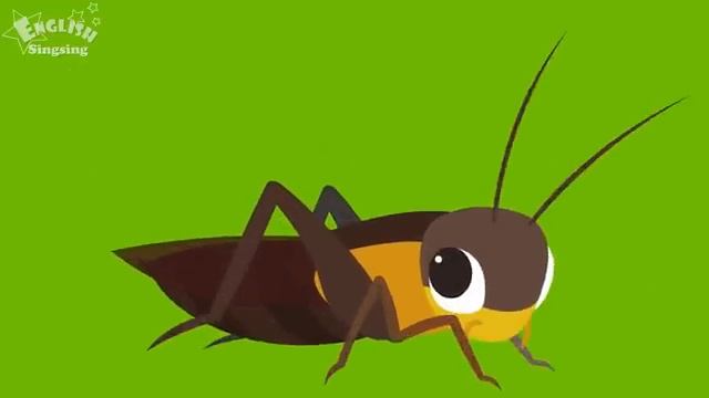 Kids Vocabulary - Bugs