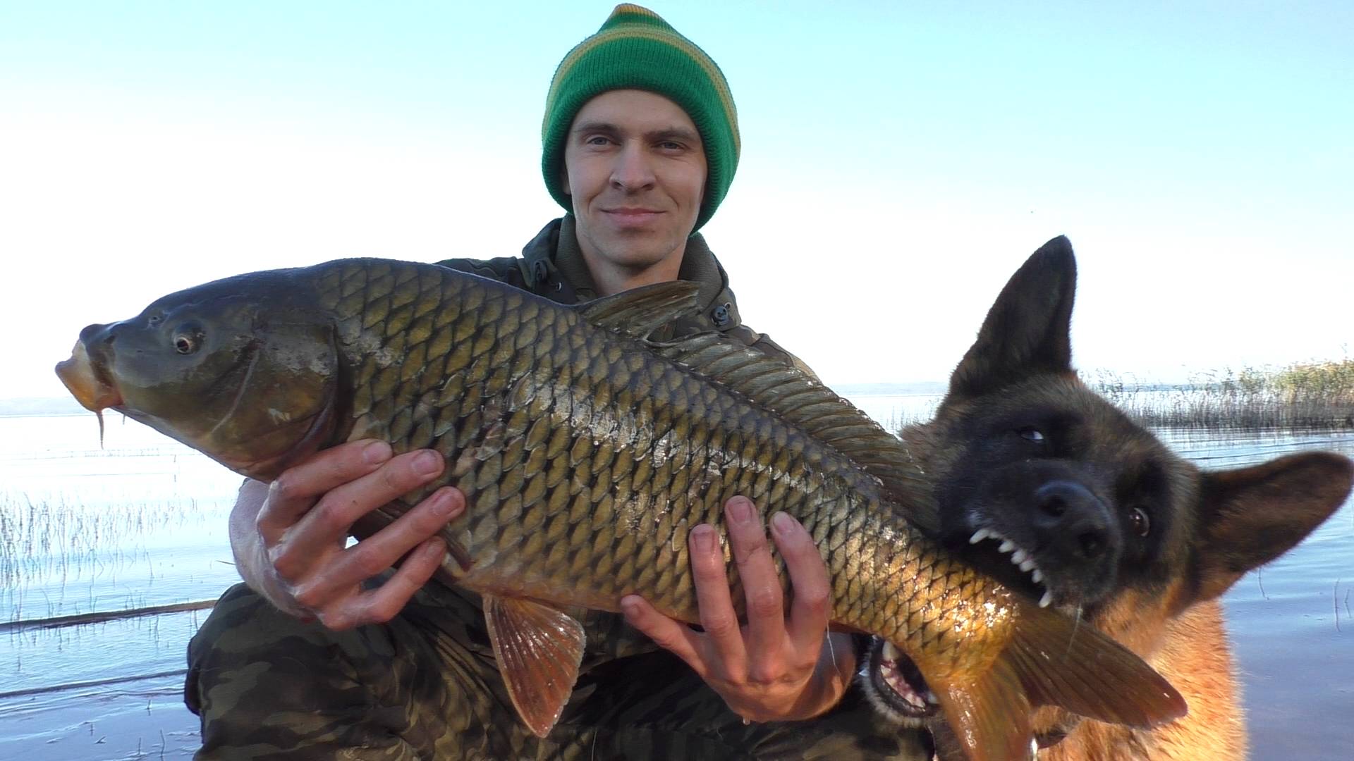 РЫБАЛКА НА САЗАНА. Рекордный улов! смотреть онлайн