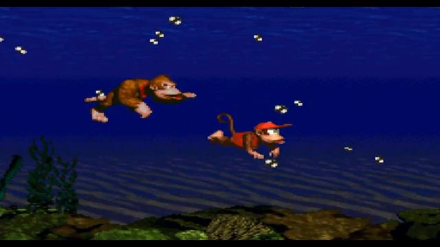 Donkey Kong Country Music - 