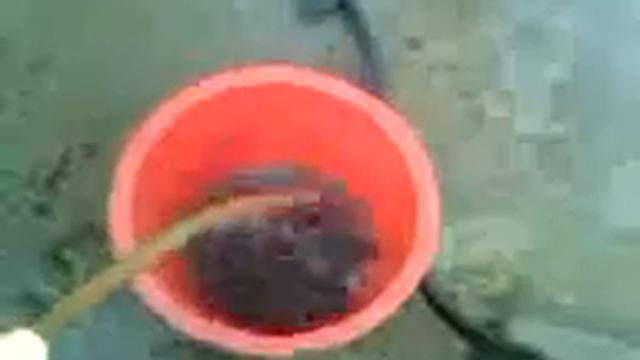 Вода а Арзгире.3.07.2014 г. смотреть онлайн