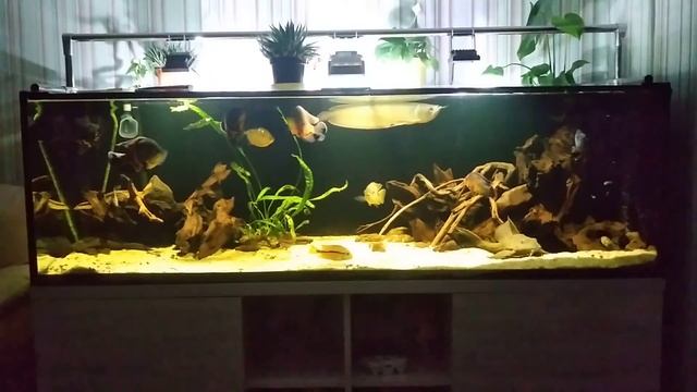 Для MFK RUS смотреть онлайн