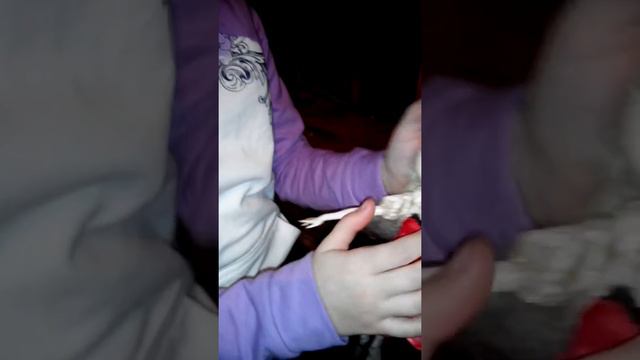 Кис кис Соня смотреть онлайн