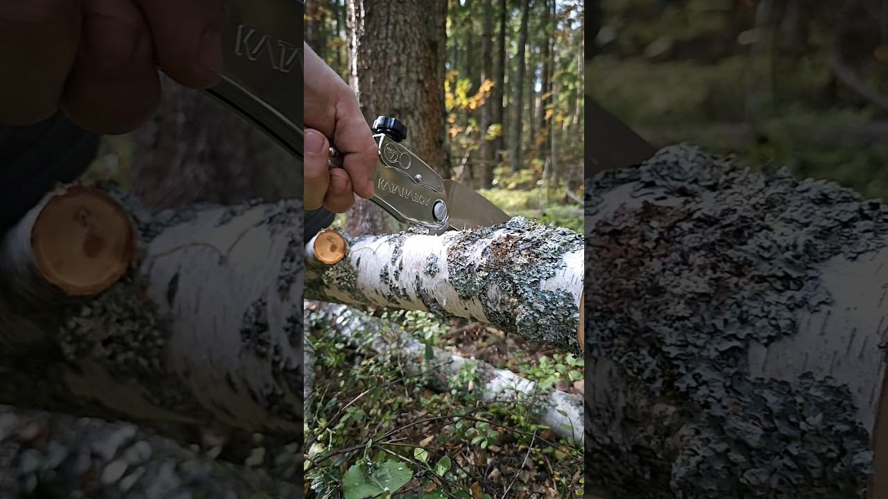 Silky Katanaboy 500mm (slowmo). смотреть онлайн