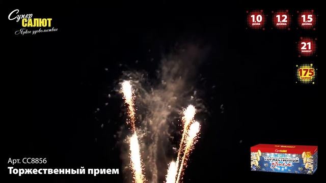 Салют “Торжественный прием” 1.0″-1.2″-1.5″х175 арт. СС8856
Салютыч смотреть онлайн