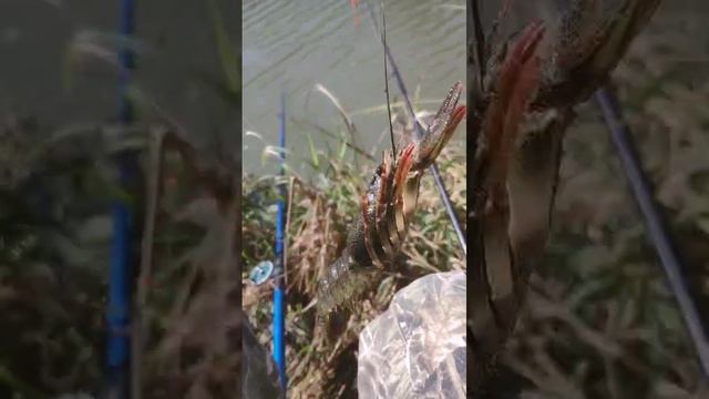 Случай на рыбалке смотреть онлайн