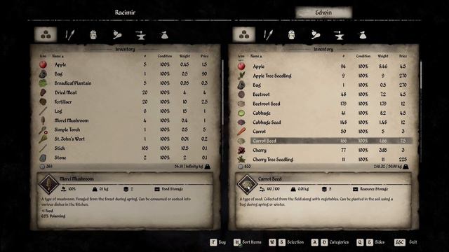 Medieval Dynasty |#2| کێڵگەیەکی بچووکم دروستکرد😁 смотреть онлайн