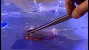 Галилео. Эксперимент. Алюминий с йодом