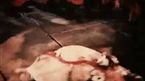 Гости въехали к боярам во дворы