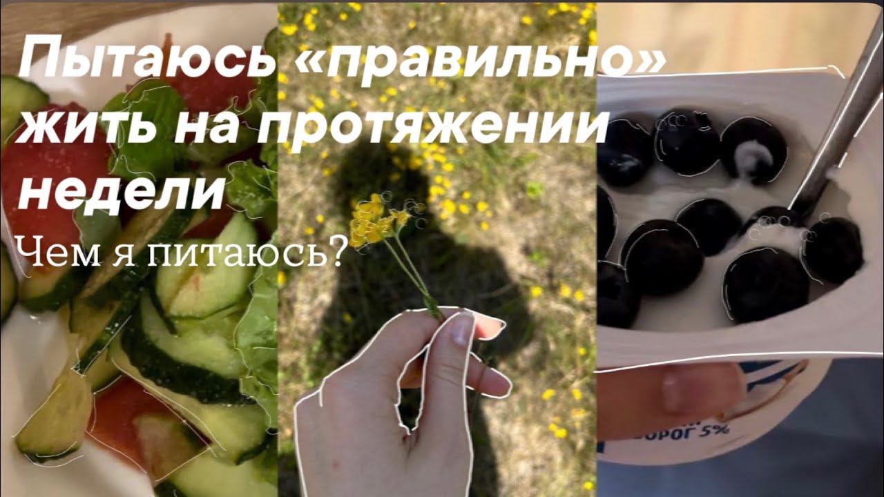 Summer days in my life| productive summer смотреть онлайн