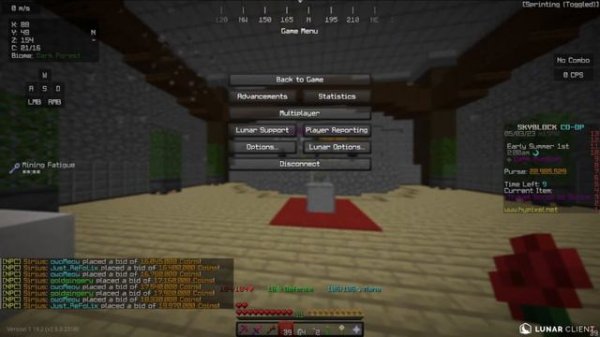 How to Find and Use the Dark Auction in Hypixel Skyblock!!