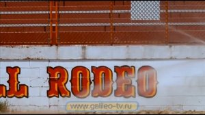 Галилео. Родео (часть 1)