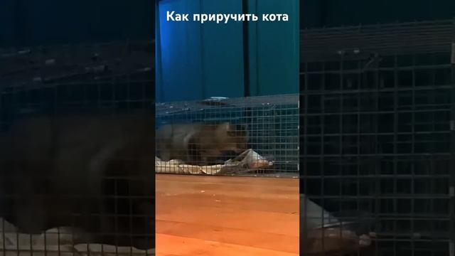 25 января 2024 г.